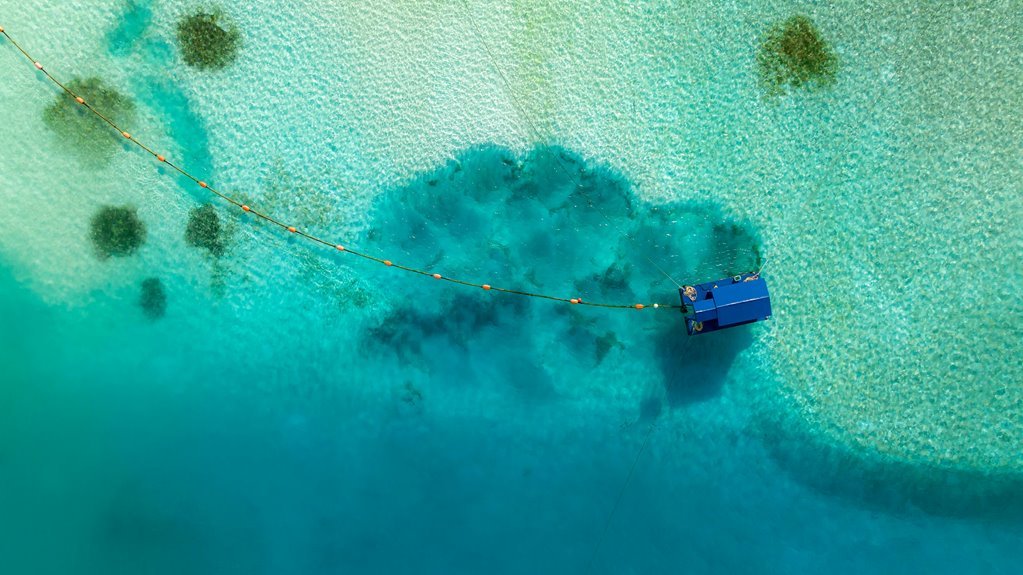 crystalhaven report overview