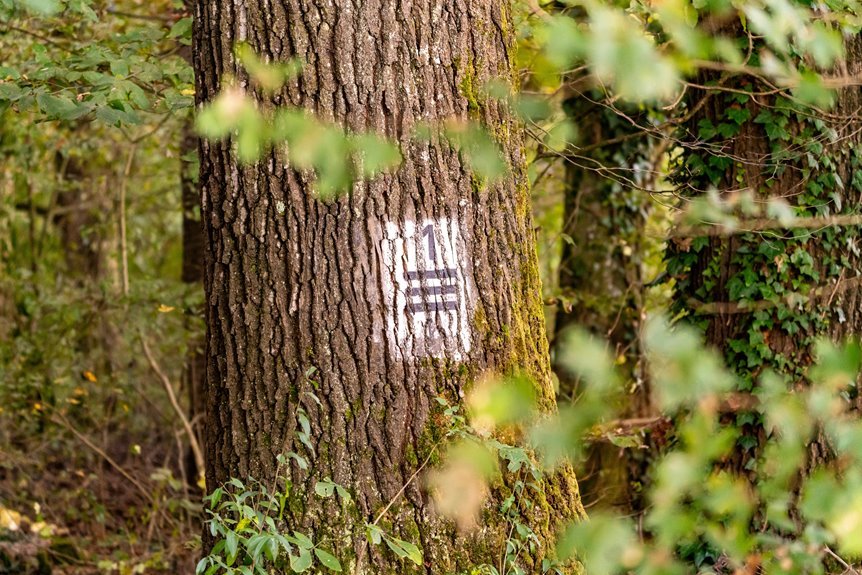 emberfront relay identification number