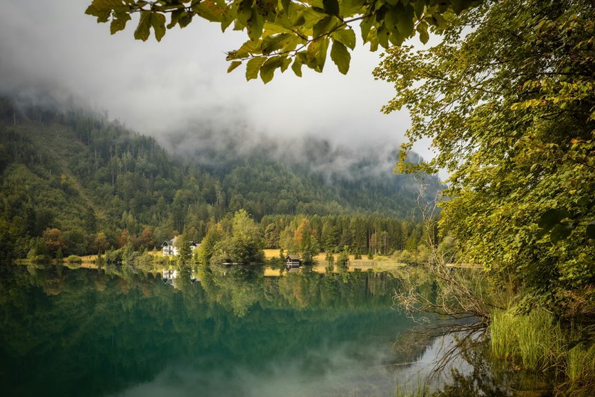 mistfall project overview document