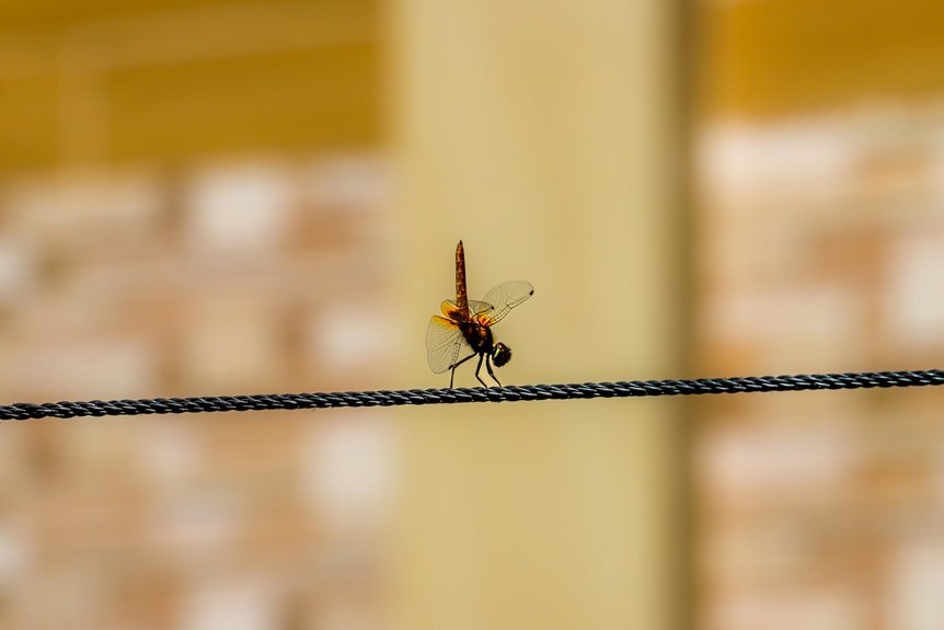 bangladesh cricketer taijul islam