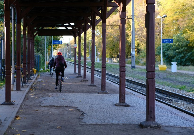 free ebook platform access