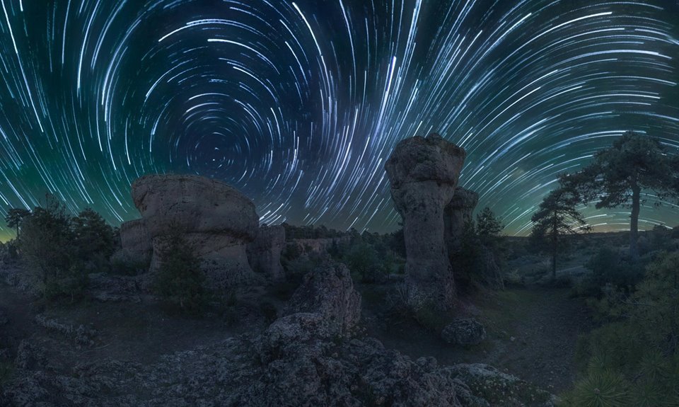 crytora leafharbor starlight register