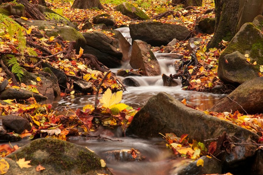 cryvona rootcascade novastream ledger