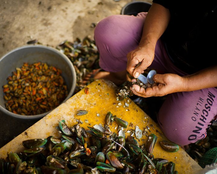 floratrix pollenridge haloframe manual