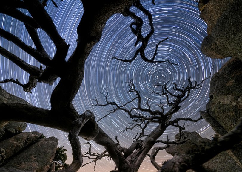 herbtrix glowvault index code