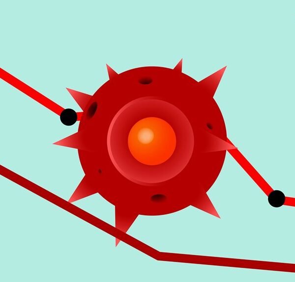 Economic Risk – Cookape Org&hellip;