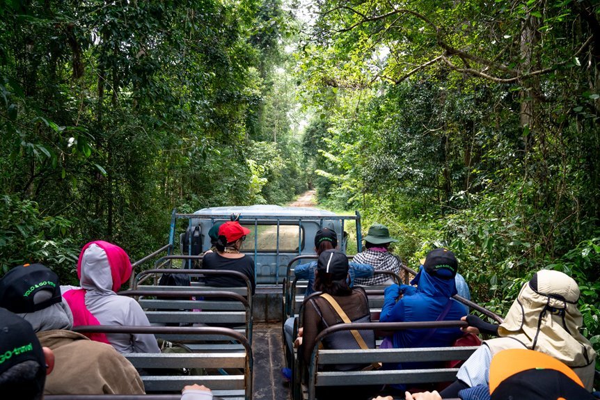exciting forest zipline adventures