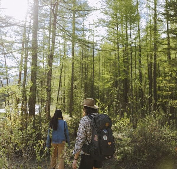 exciting nature expedition experiences