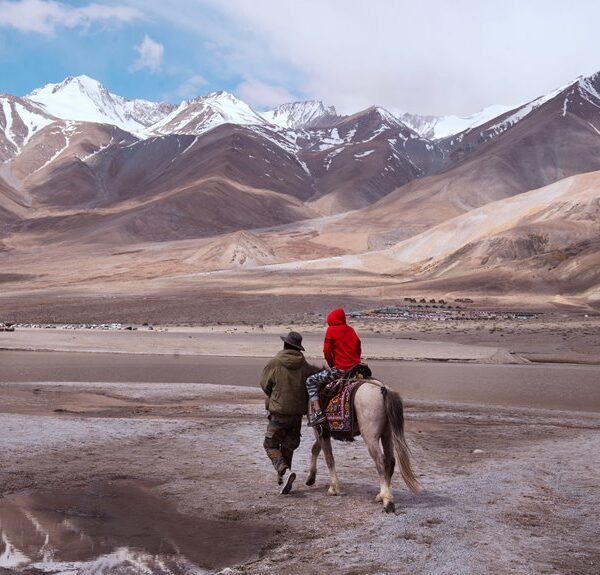 global travel experience packages
