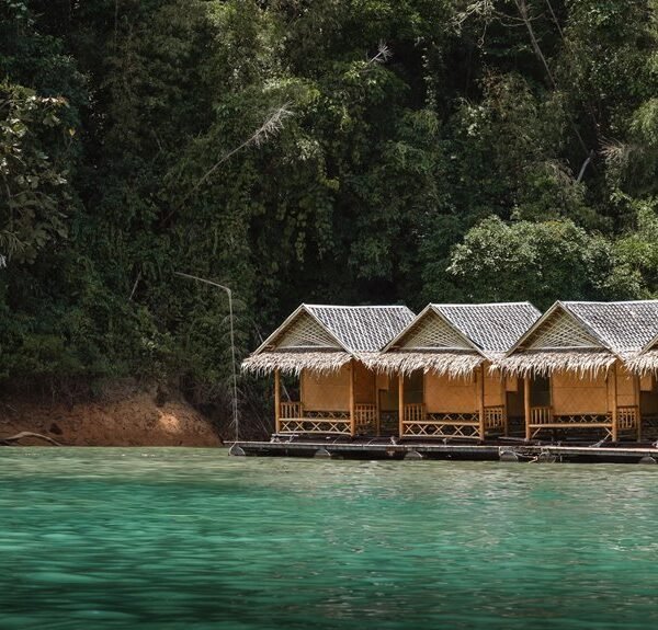 luxury wildlife lodge contacts