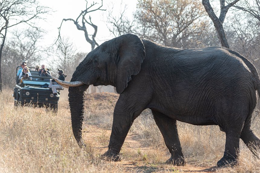 wildlife tour contact numbers