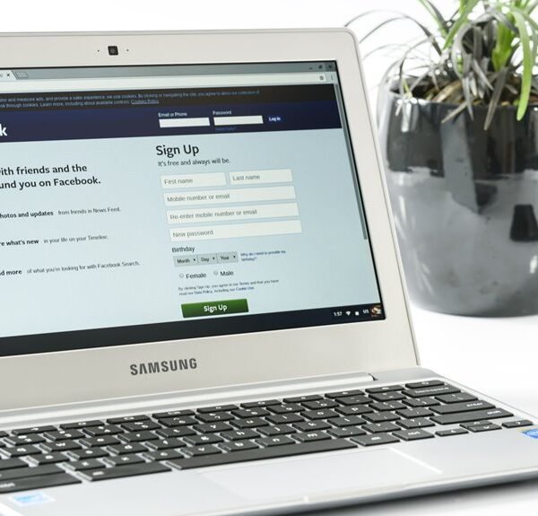 website insights for users